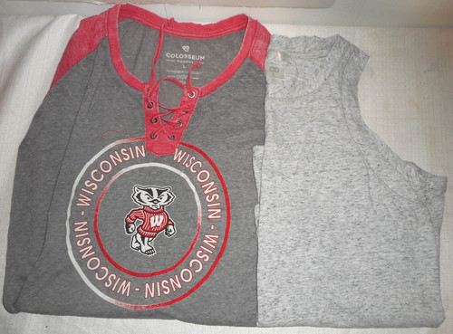 Wisconsin badger colosseum - wisconsin,